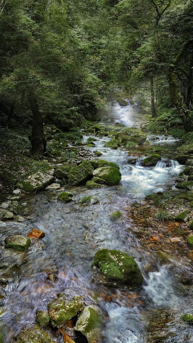 三清山旅遊攻略。