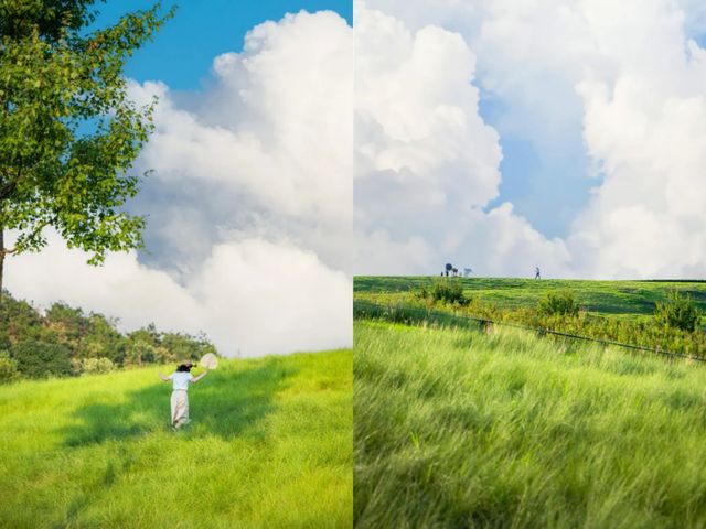 我發現了阿勒泰的"分泰"。