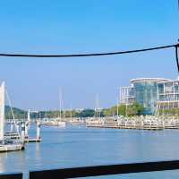 【廈門水上活動】🚤坐遊艇出海，在海上看金門，還有機會偶遇白海豚🐬！