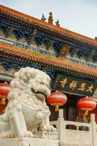 大悲禪寺。