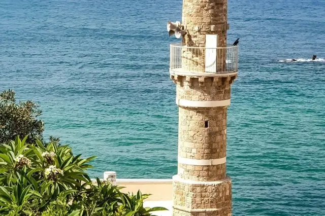 텔아비브: 유행과 전통이 공존하는 해안 모험기.