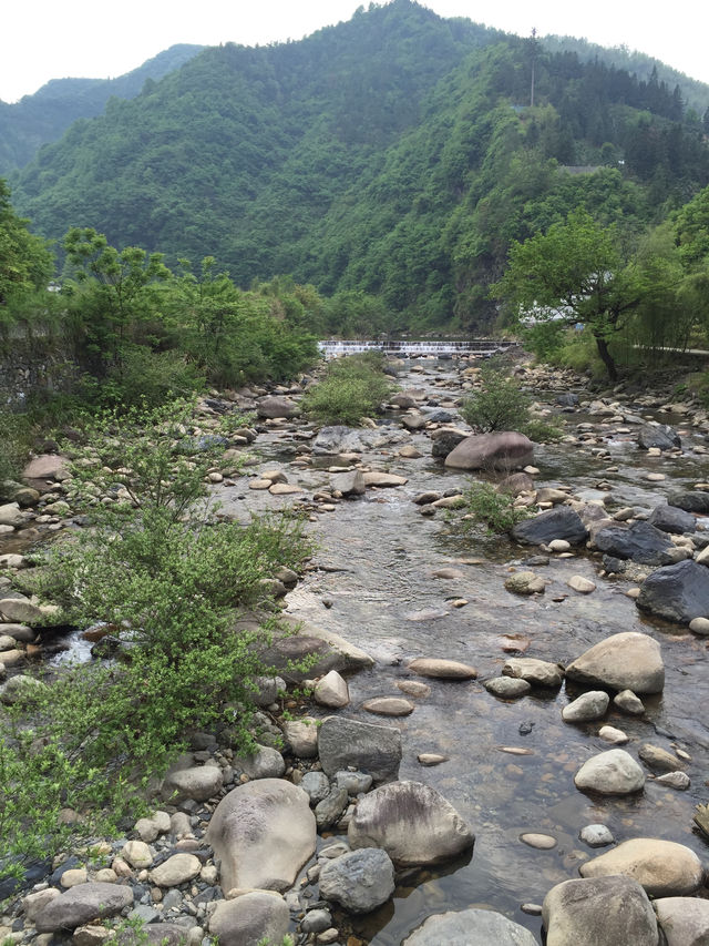 牯牛降風景區。