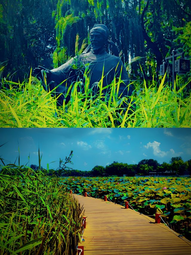 “京”日好去處(十二)——什剎海西海濕地公園 “京”日好去處(十二)——什剎海西海濕地公園