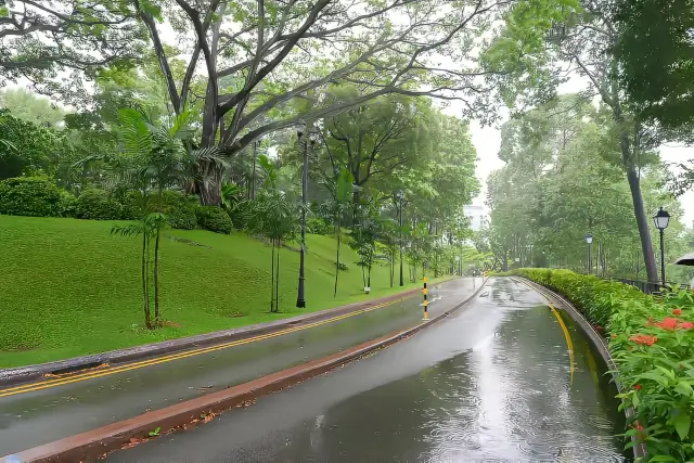 穿越歷史綠洲，解鎖福康寧公園的保母級攻略。