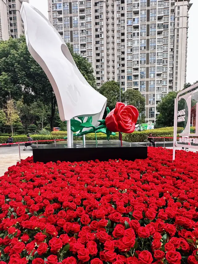 Biển hoa hồng dưới bóng ma lãng mạn của người Thành Đô.