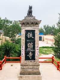 山西真的有為貓咪建造的廟宇——喵喵教總壇。