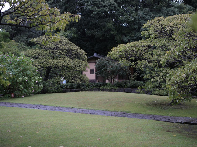 雨中漫步德川園：日本名古屋的靜謐之美 
