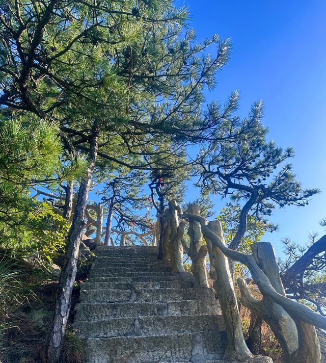 黃岡天堂寨丨「華東最後一片原始森林」。