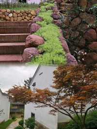 我要向全世界推薦九華山文宗古村酒店。