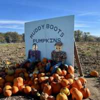 Spooky Halloween Attractions In the Haunted house