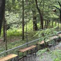 하남에서 갤러리 작품뿐만 아니라 자연힐링까지 즐길 수 있는 곳🌳 