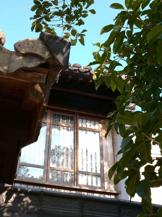 秋日裡的味蕾探險：常熟沙家浜大閘。