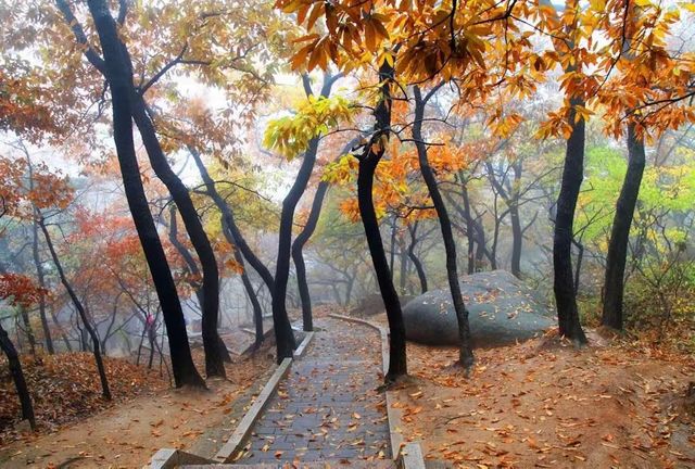 邂逅五蓮山旅遊風景區賞秋日美景。