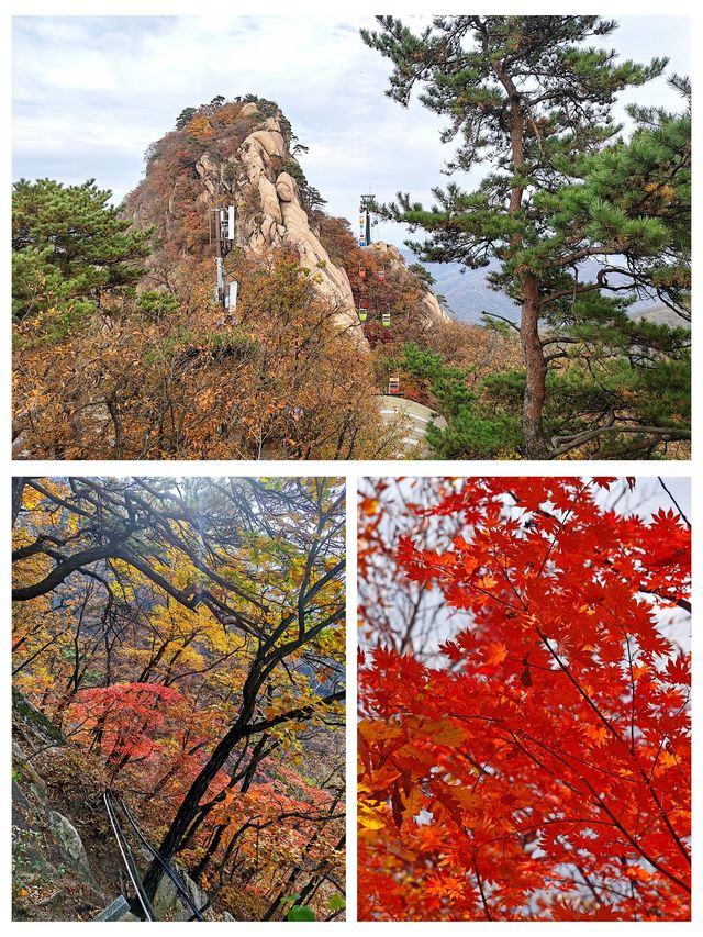 丹東鳳城鳳凰山，秋賞紅葉漫山遍野，層林盡染色彩斑斕。