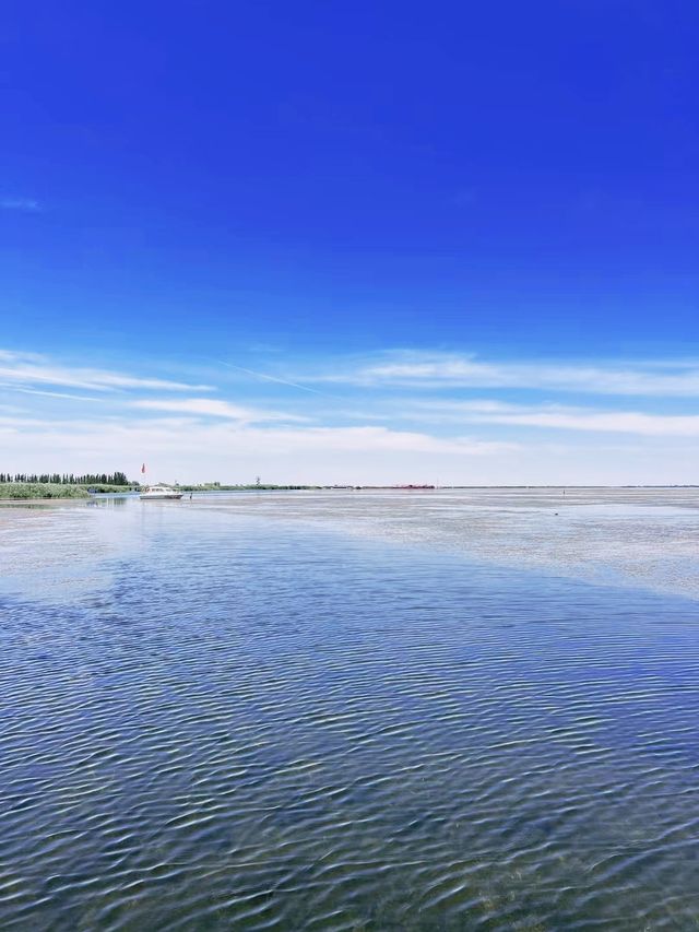 烏梁素海，一個令人流連忘返的仙境！。