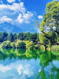 麗江版的「阿勒泰」。