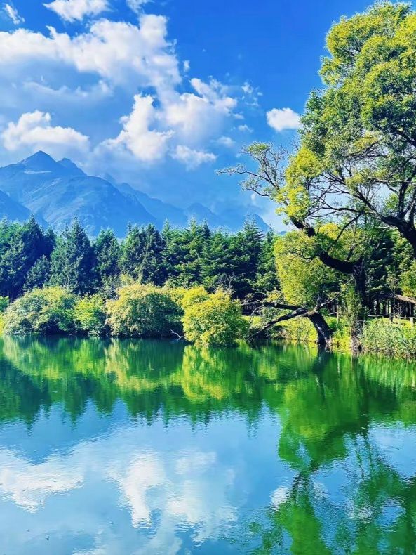 麗江版的「阿勒泰」。