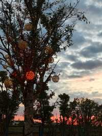 湖州旅行—來 lakeside 空野療癒營地！