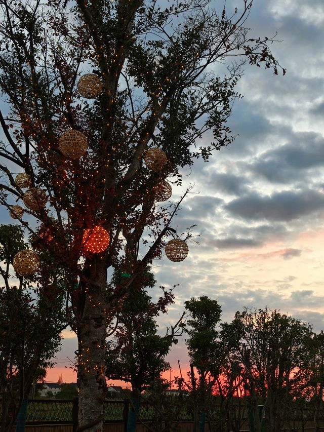 湖州旅行—來 lakeside 空野療癒營地！