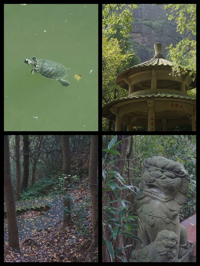 我為了這個冷門的景點，公交來回2小時。