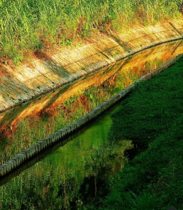 8公里輕鬆徒步：平湖生態園至甘坑古鎮。
