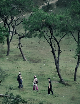 Guangdong is all green in autumn.