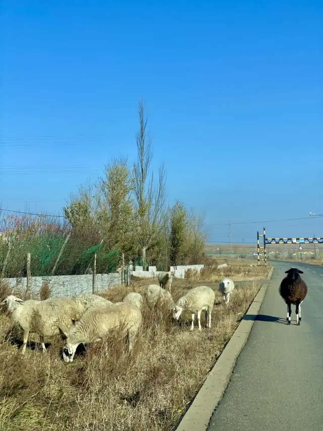 Ulanqab Travel Guide: See Volcanoes and Snowfields 1.6 Hours from Beijing. 