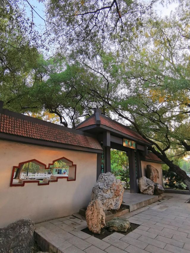 瀋陽南湖公園｜瀋陽人心中的「迪士尼」！。