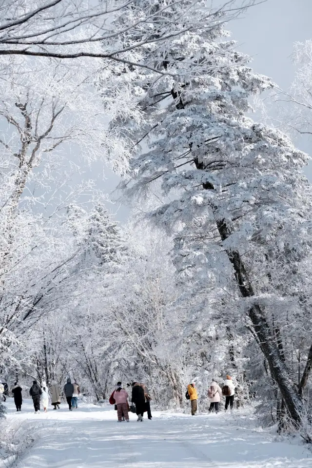 The snow-covered mountains of Changbai Mountain are like a painting. 