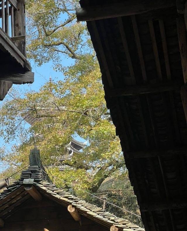 大利侗寨｜國內適合一個人浪跡的絕佳目的地！。