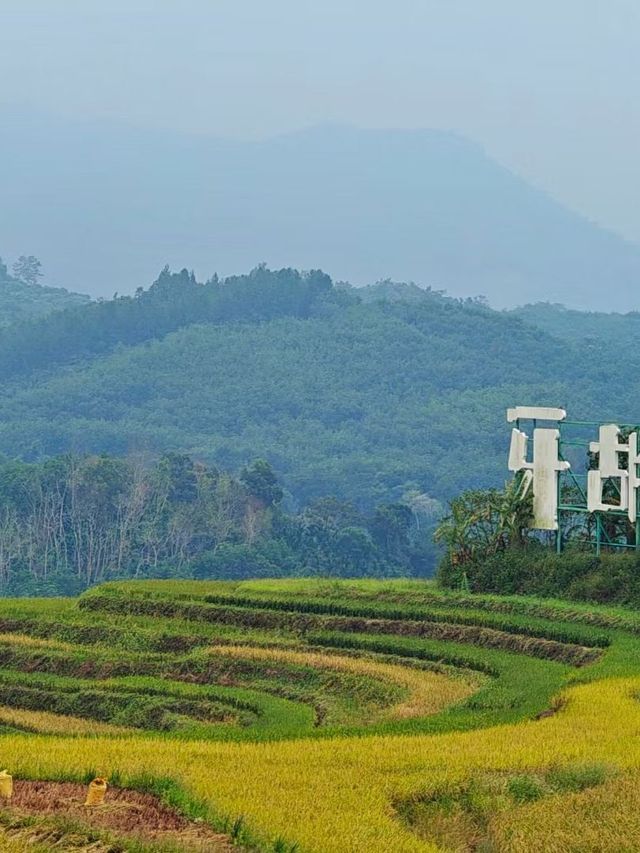 五指山2日遊｜超實用攻略 玩轉熱門景點。