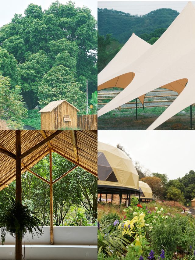 在肇慶！誤入山野露營與古樹礦坑為鄰。