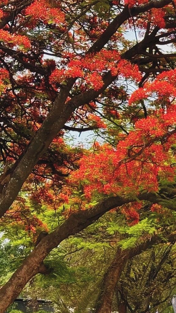 開心無保質期。