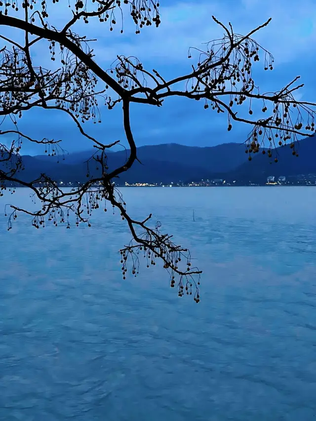 Cookiii Coffee is a cafe with a great atmosphere located in Dongqian Lake, Ningbo. 