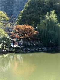 如詩如畫的秋景在市中心