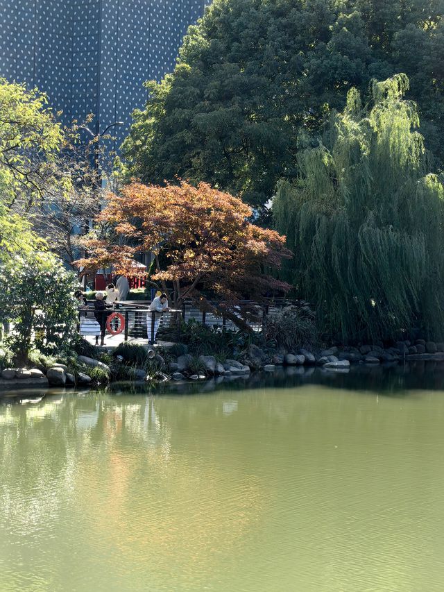 如詩如畫的秋景在市中心