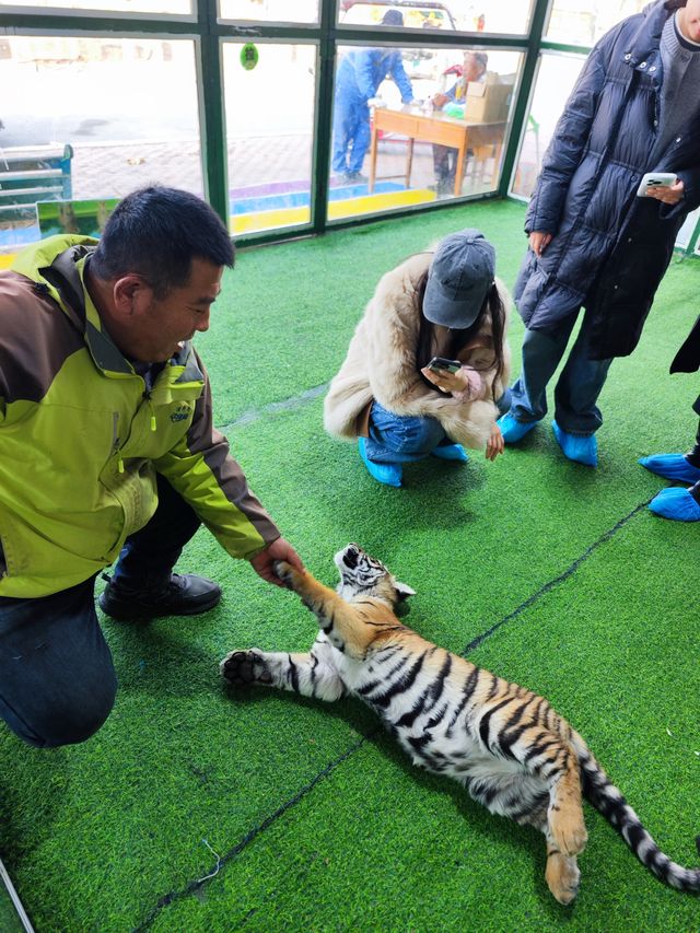 諸城動物園｜冬季寶藏小眾遛娃地