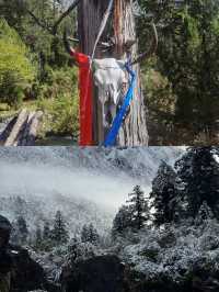 行山不是為了趕路，子龍秘境變線下撤版！！！