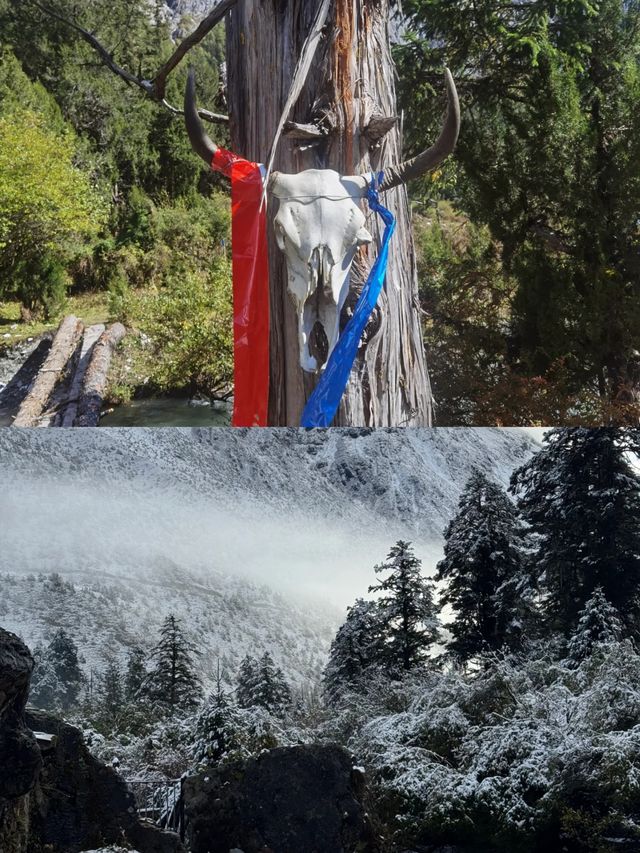 行山不是為了趕路，子龍秘境變線下撤版！！！