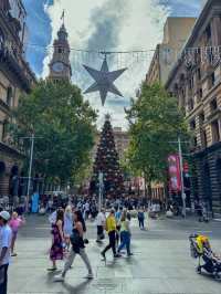 Sydney's Martin Place Hosts the Southern Hemisphere's Tallest Christmas Tree
