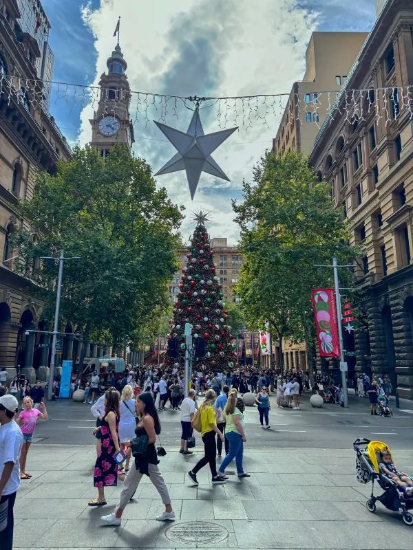 Sydney's Martin Place Hosts the Southern Hemisphere's Tallest Christmas Tree