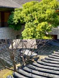 追逐大樂之野·龍南圍屋的光與影