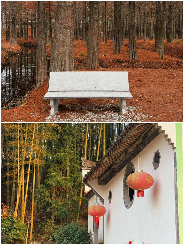 安徽寧國｜一個被嚴重低估的小眾旅行寶藏地
