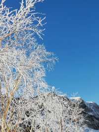 長春-長白山-延吉滑雪超詳細全攻略速看