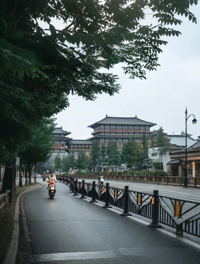 王一博誠不欺我！洛陽，美到窒息的仙境！