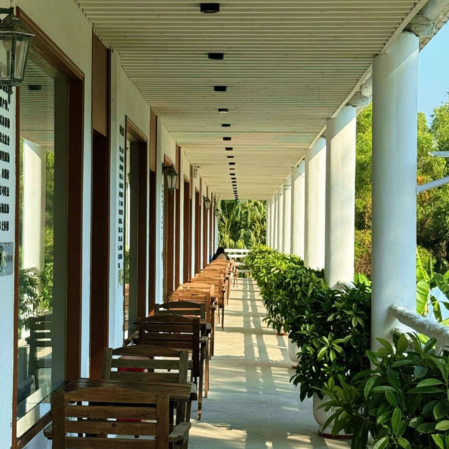 🌴深圳度假 | 誤以為到了西雙版納🌴