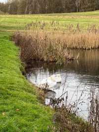 A Day Trip to Castle Howard in York