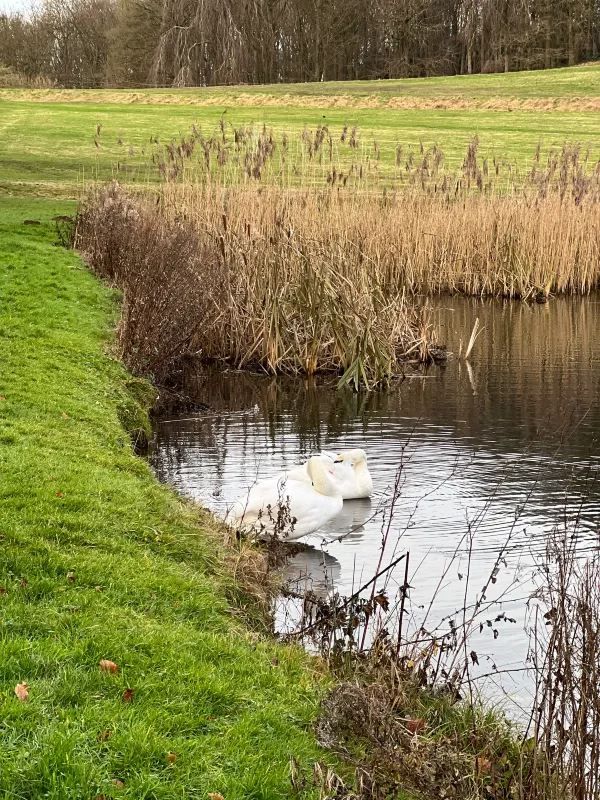 A Day Trip to Castle Howard in York