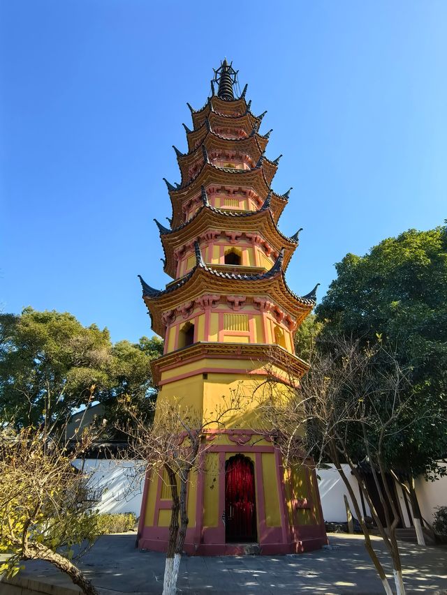 雙塔與蠟梅