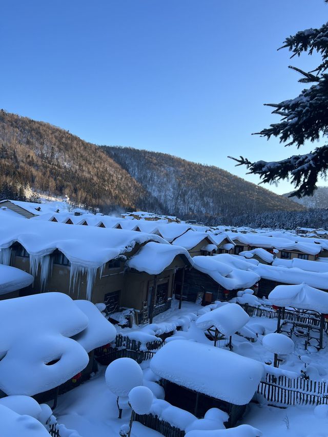 雪鄉等地 3天經典路線｜保姆級攻略